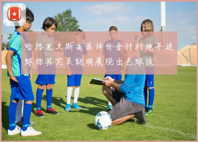 哈格里夫斯高度评价舍什科绝平进球称其完美聪明展现出色球技
