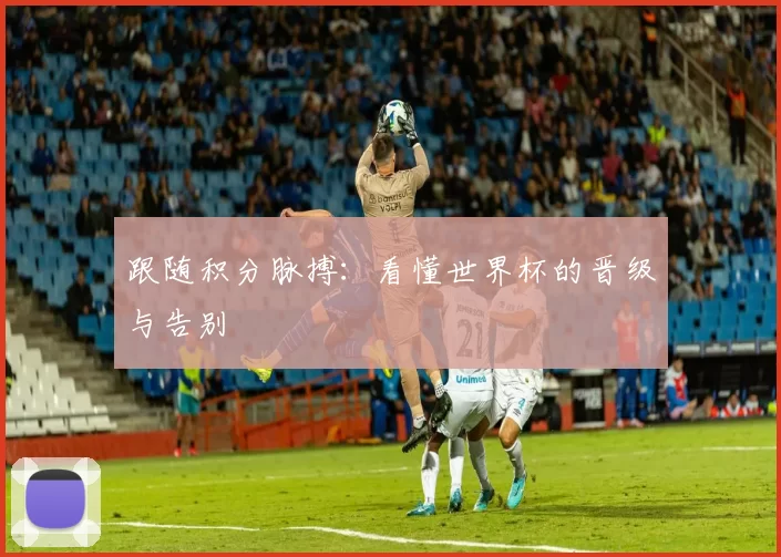 跟随积分脉搏：看懂世界杯的晋级与告别