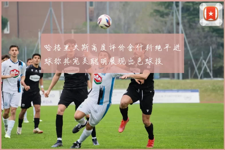 哈格里夫斯高度评价舍什科绝平进球称其完美聪明展现出色球技