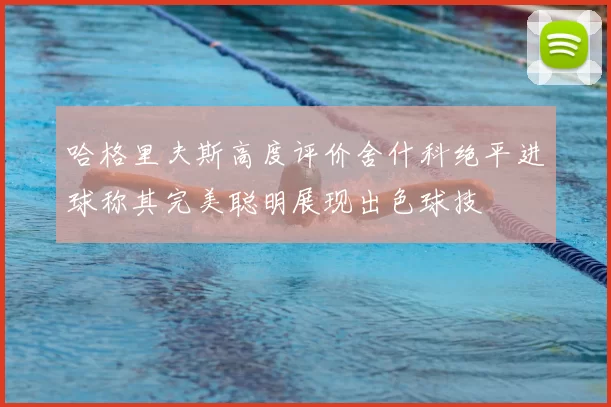 哈格里夫斯高度评价舍什科绝平进球称其完美聪明展现出色球技