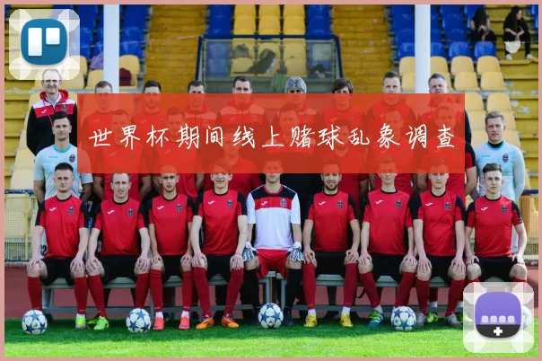 世界杯期间线上赌球乱象调查
