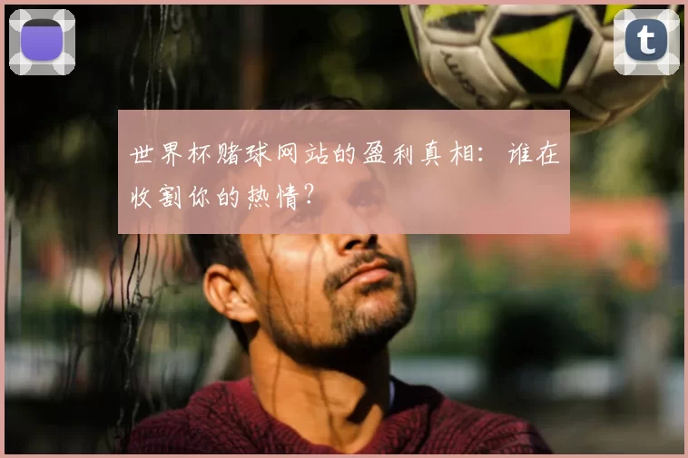 世界杯赌球网站的盈利真相：谁在收割你的热情？