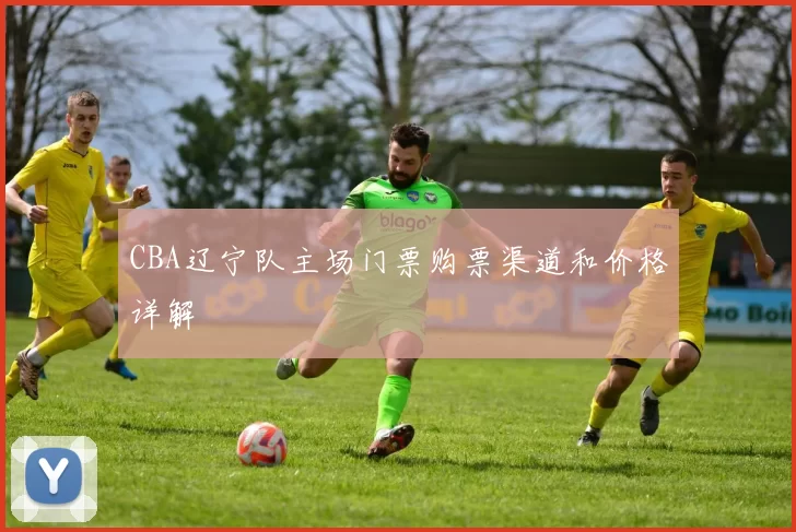 CBA辽宁队主场门票购票渠道和价格详解