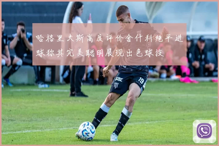 哈格里夫斯高度评价舍什科绝平进球称其完美聪明展现出色球技
