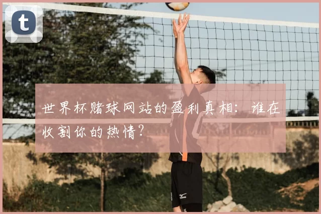 世界杯赌球网站的盈利真相：谁在收割你的热情？