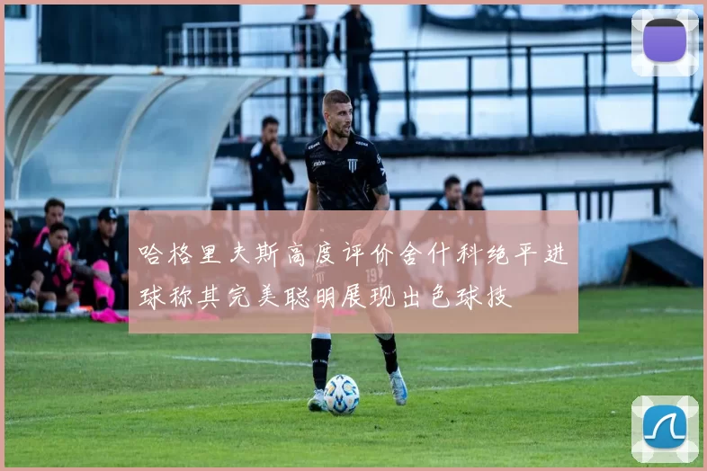哈格里夫斯高度评价舍什科绝平进球称其完美聪明展现出色球技