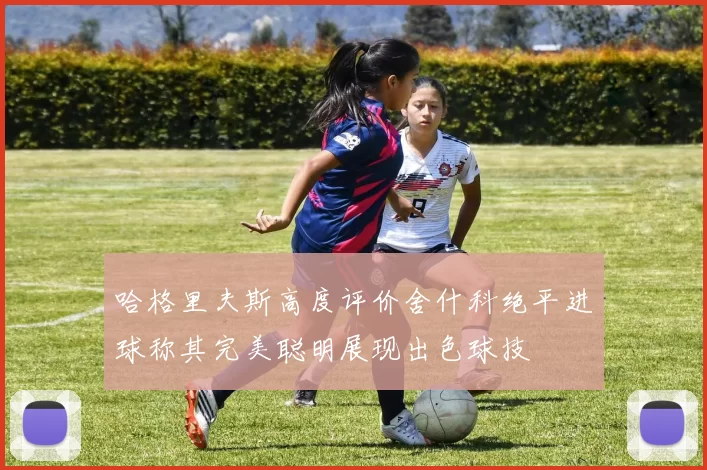 哈格里夫斯高度评价舍什科绝平进球称其完美聪明展现出色球技