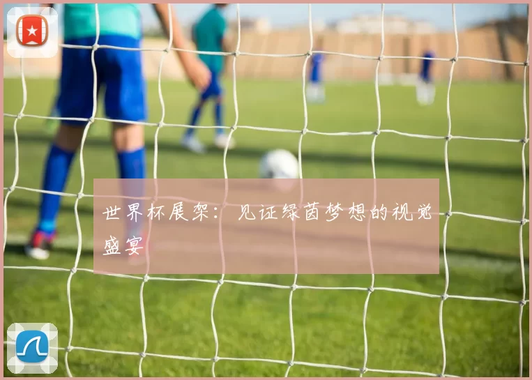 世界杯展架：见证绿茵梦想的视觉盛宴