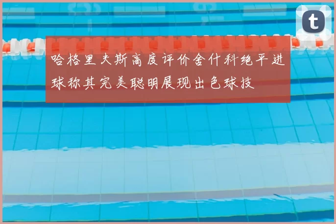 哈格里夫斯高度评价舍什科绝平进球称其完美聪明展现出色球技
