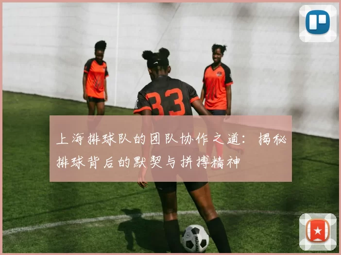 上海排球队的团队协作之道：揭秘排球背后的默契与拼搏精神