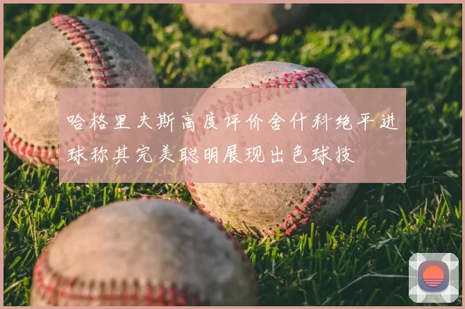 哈格里夫斯高度评价舍什科绝平进球称其完美聪明展现出色球技