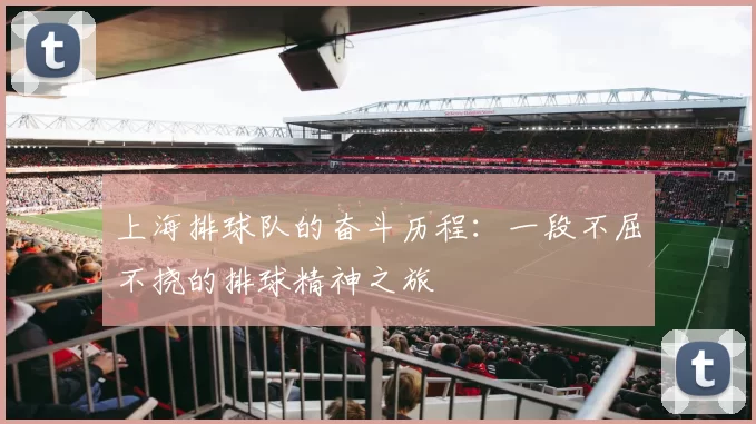 上海排球队的奋斗历程：一段不屈不挠的排球精神之旅