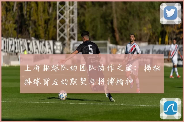 上海排球队的团队协作之道：揭秘排球背后的默契与拼搏精神